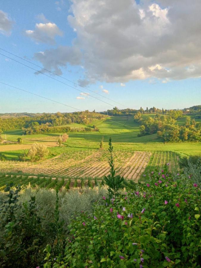 Agriturismo La Pineta Fucecchio Exterior foto
