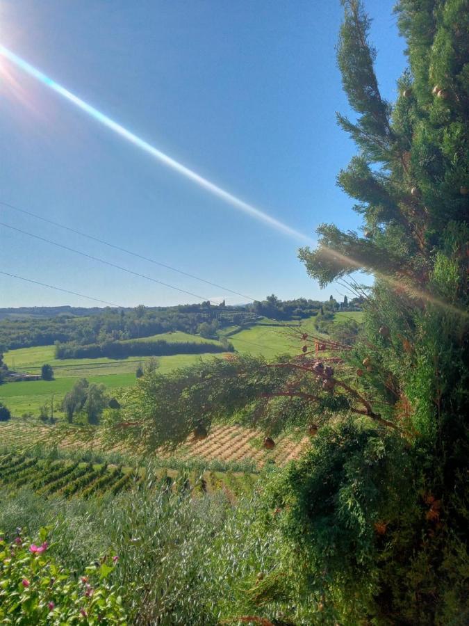 Agriturismo La Pineta Fucecchio Exterior foto
